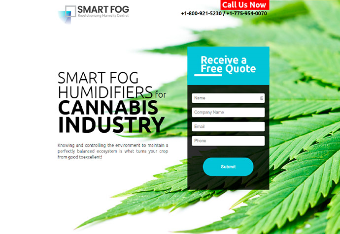 Smart Fog's Unbounce Landing Page